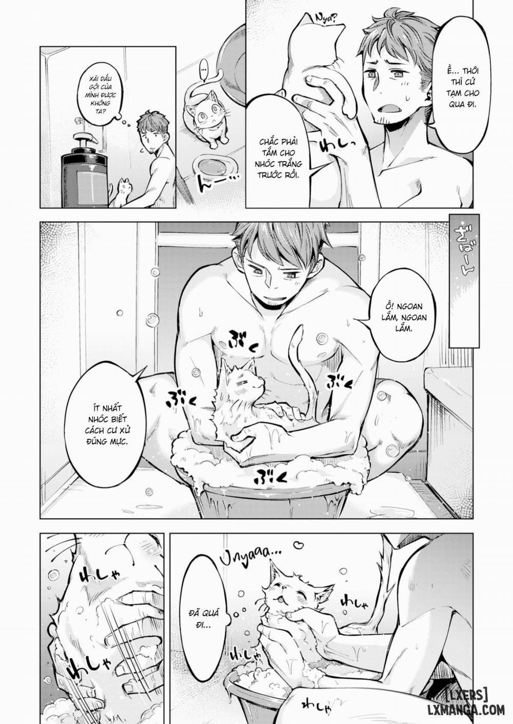 Uninvited Kitties 2 END trang 1