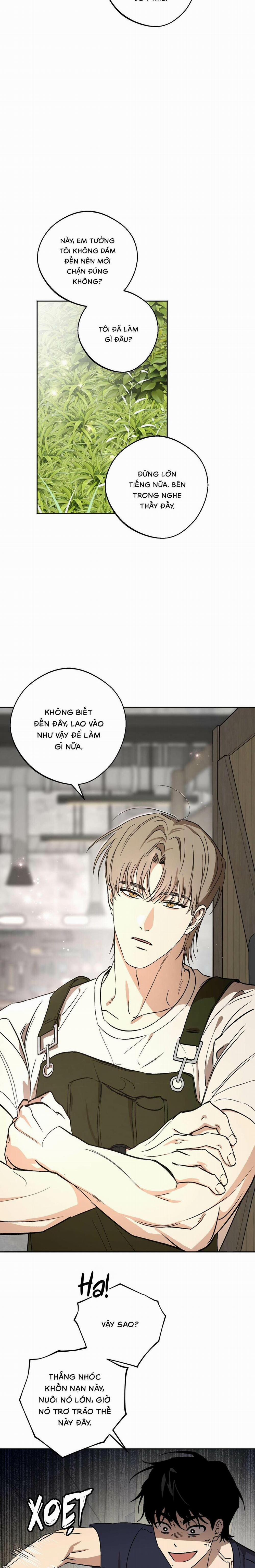 Ước Nguyện Của Ki Won 2 trang 19