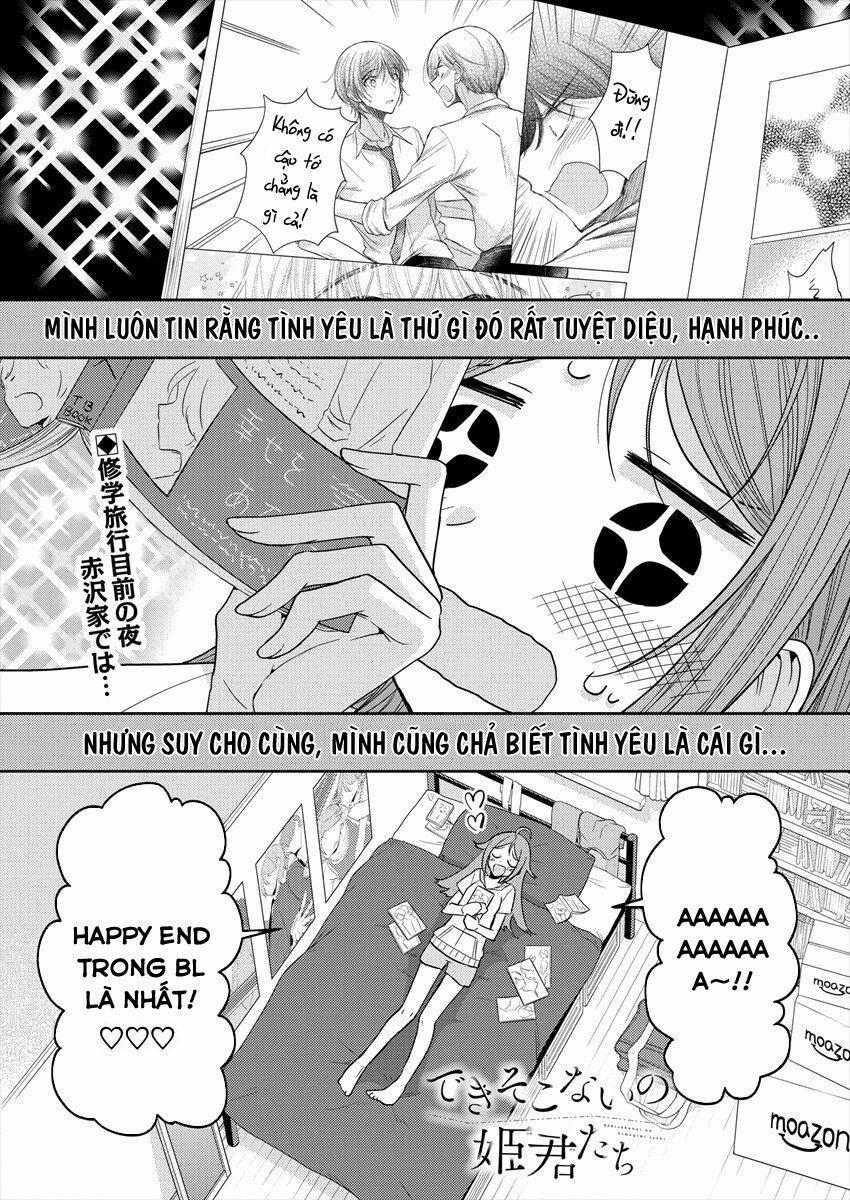 Useless Princesses 0 Tình yêu không cần lý do trang 1