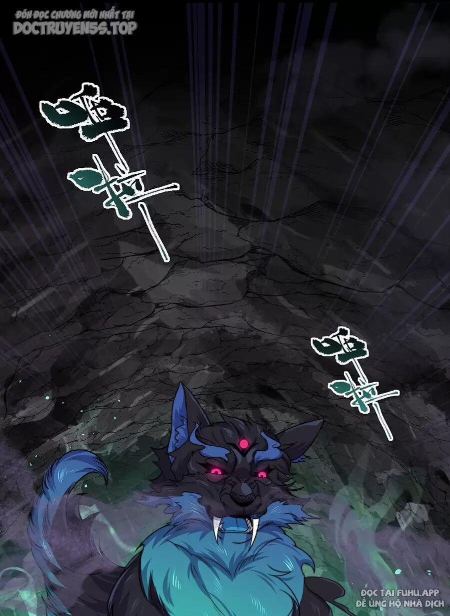 Vai Ác Sư Tôn Mang Theo Các Đồ Đệ Vô Địch Thiên Hạ 85 trang 16