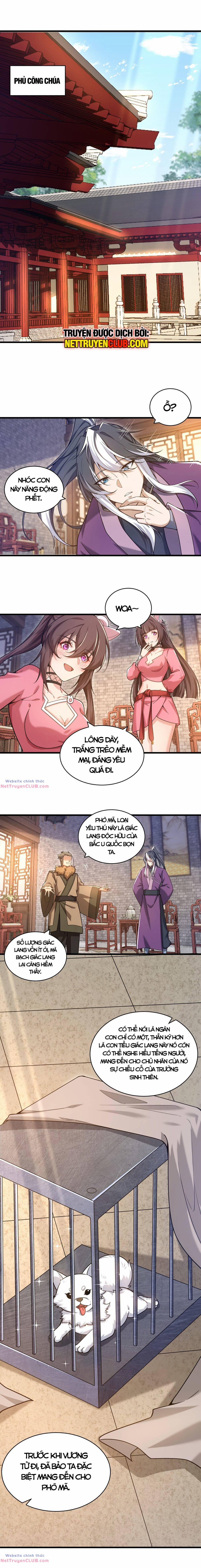 Vạn Cổ Tối Cường Phò Mã 21 trang 12