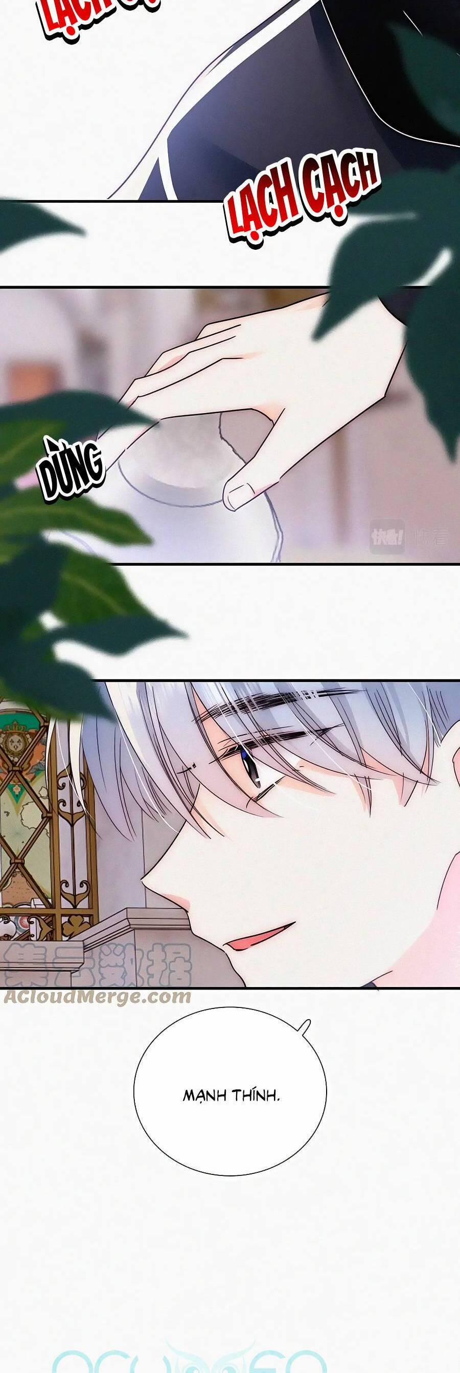 Vẫn Cứ Nuông Chiều 28 trang 8