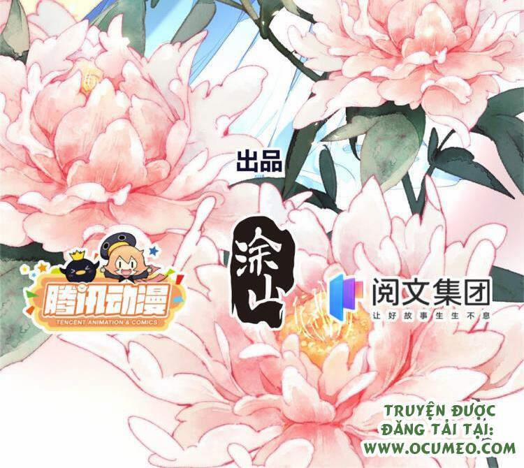 Vấn Đan Chu 15 trang 1