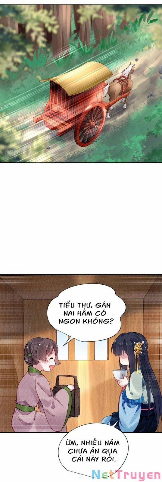 Vấn Đan Chu 29 trang 11