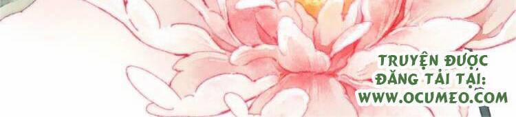 Vấn Đan Chu 33 trang 1