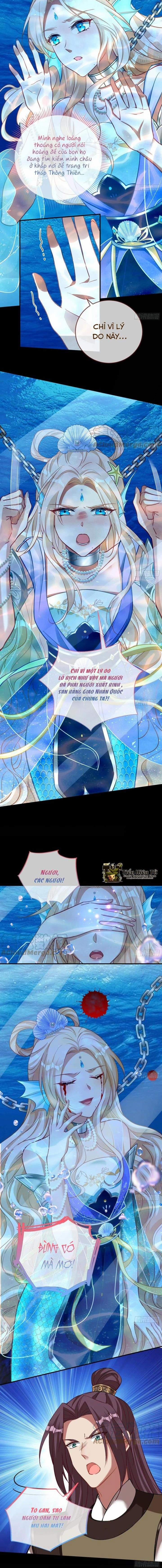 Vạn Tra Triêu Hoàng 0 Toptruyen.link 0 Mối thù diệt tộc trang 2