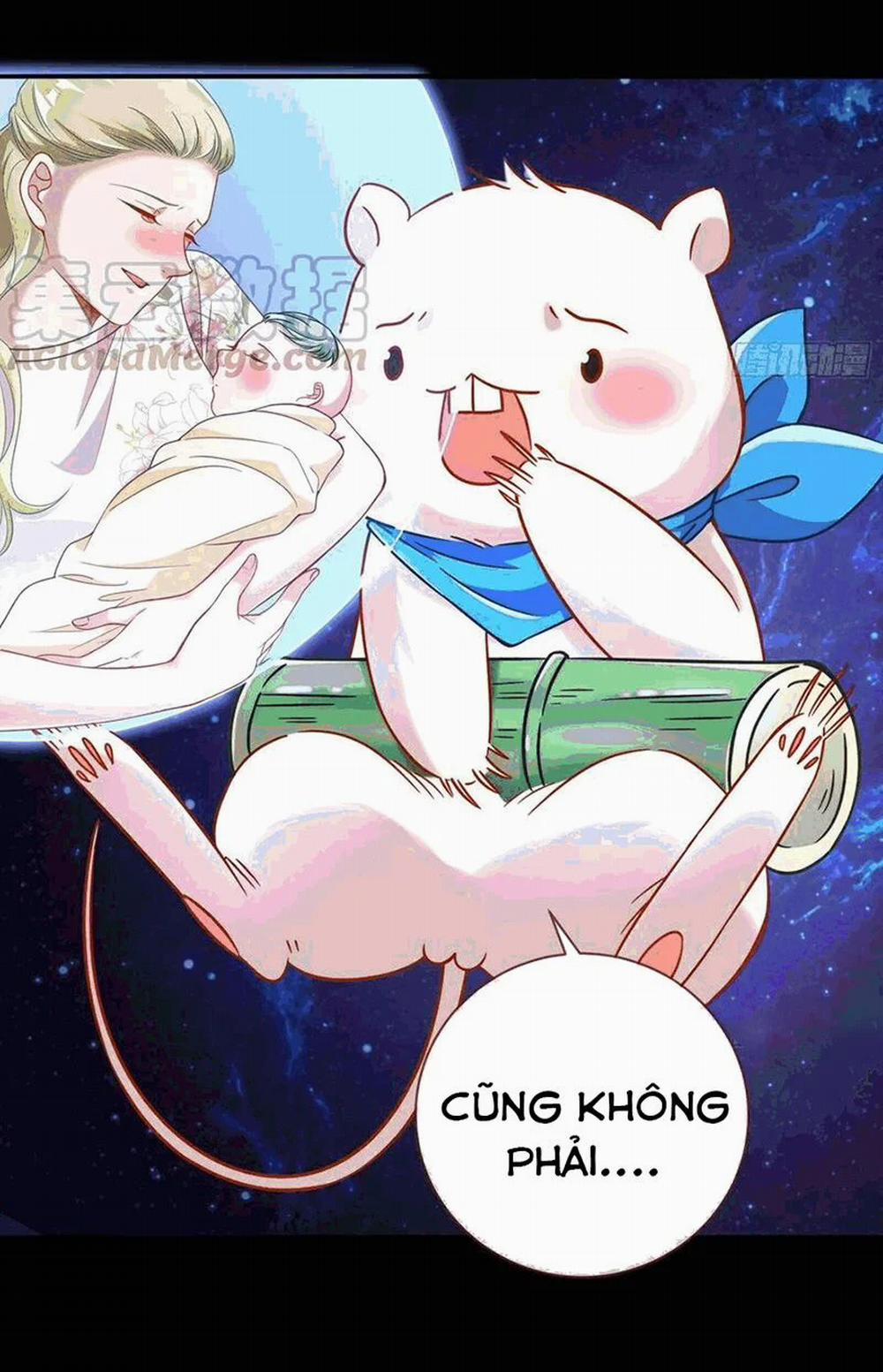 Vạn Tra Triêu Hoàng 224 trang 3