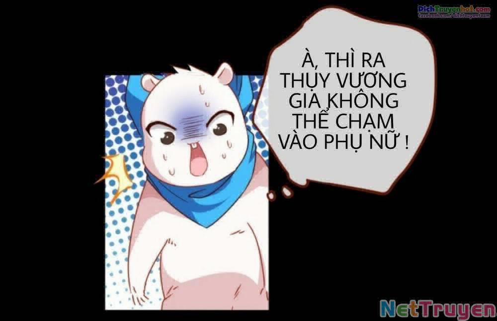 Vạn Tra Triêu Hoàng 240 trang 27