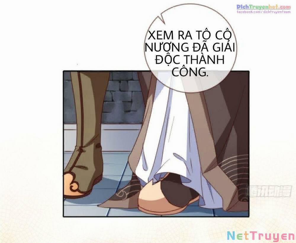 Vạn Tra Triêu Hoàng 242 trang 20