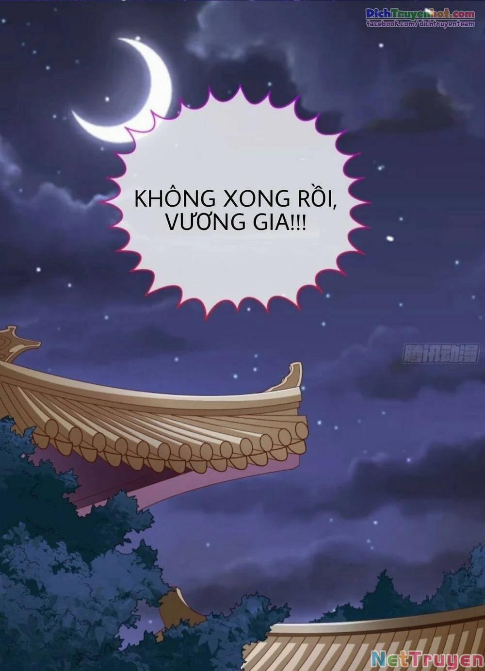 Vạn Tra Triêu Hoàng 251 trang 3