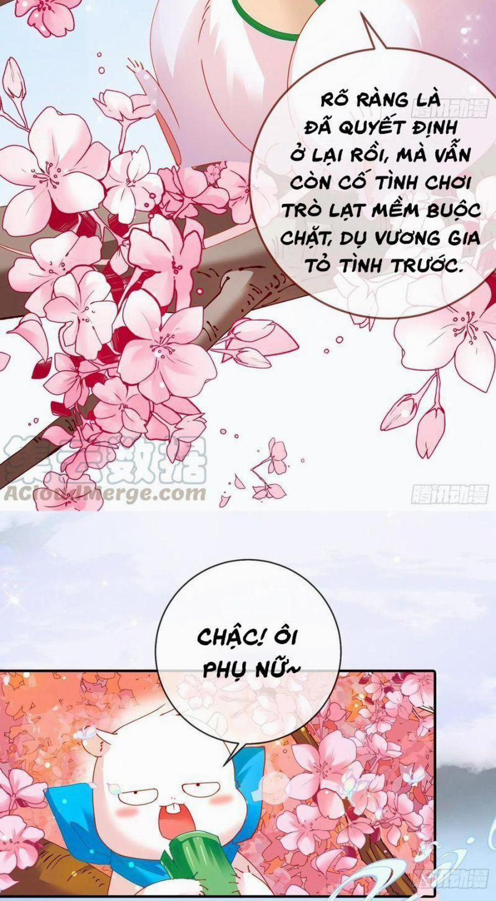 Vạn Tra Triêu Hoàng 268 trang 28