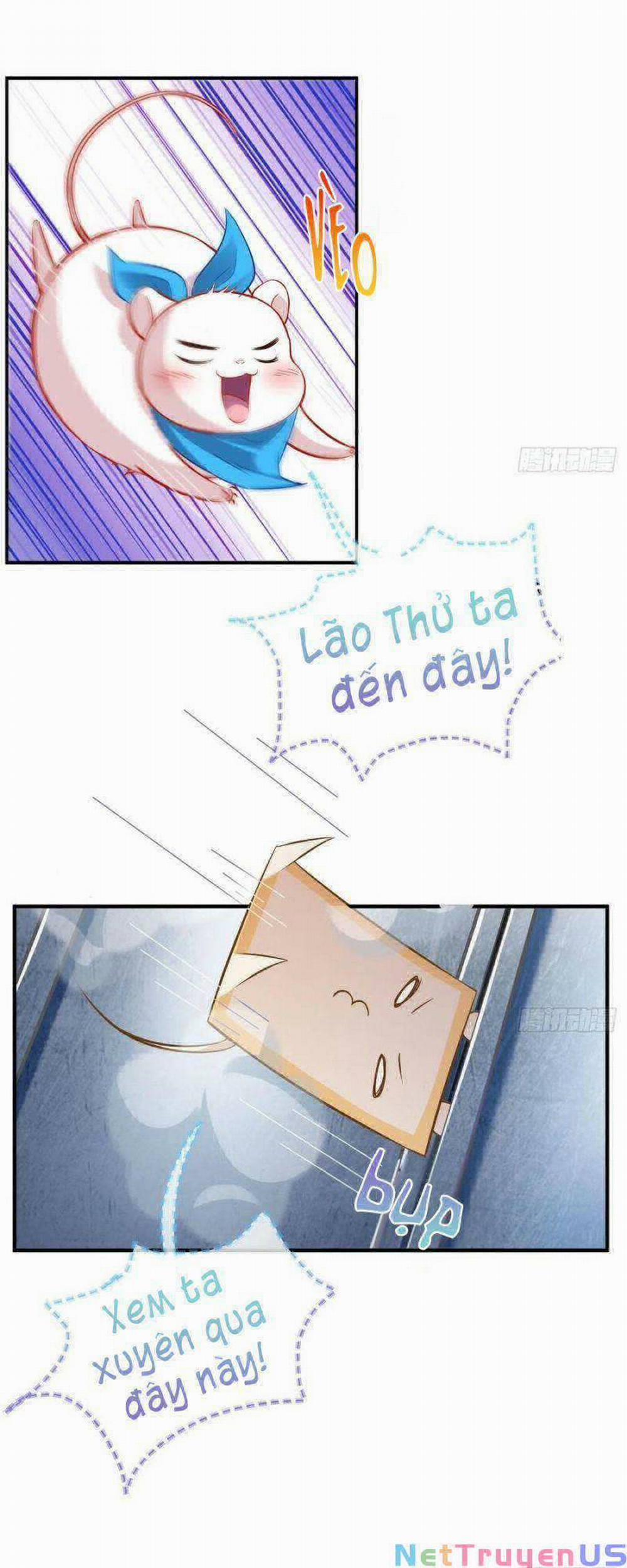Vạn Tra Triêu Hoàng 530 trang 13