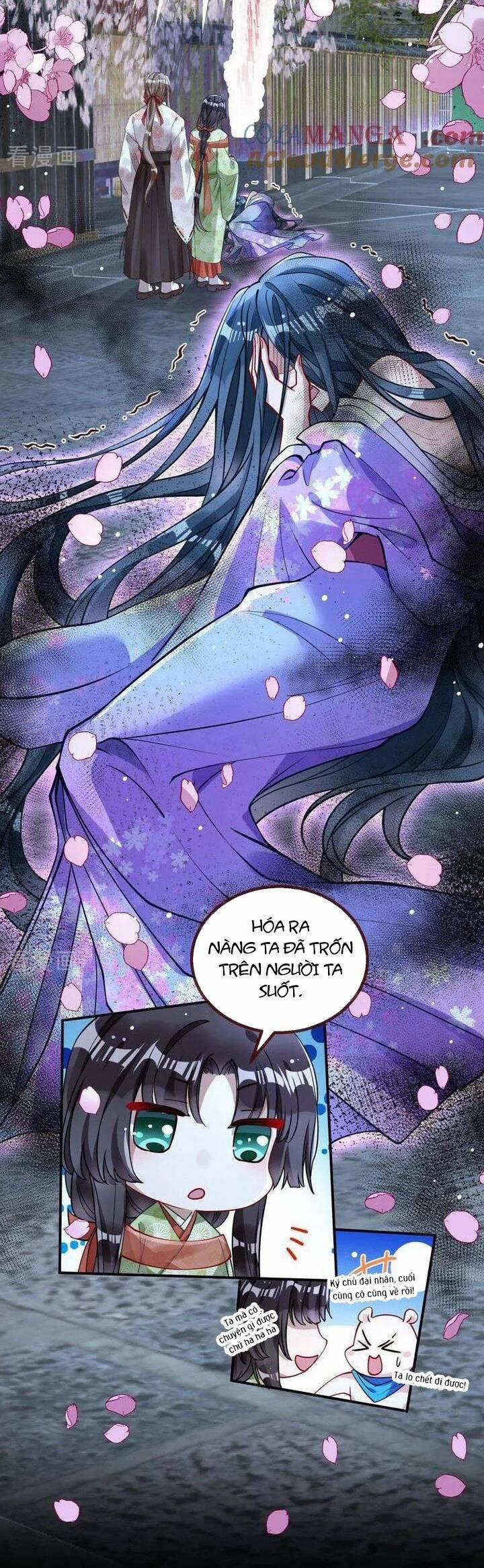 Vạn Tra Triêu Hoàng 781 trang 17