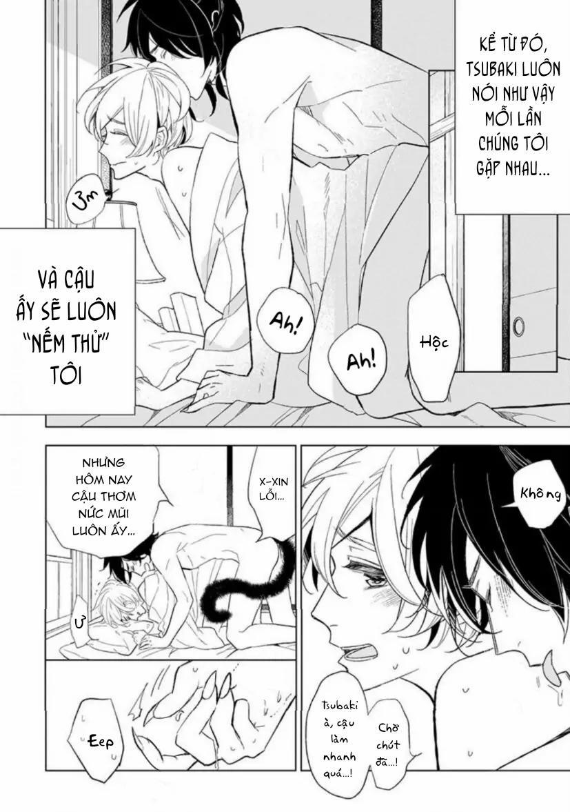 Vào Một Đêm Đầy Sao, Tình Yêu Đã Đến 4 trang 11