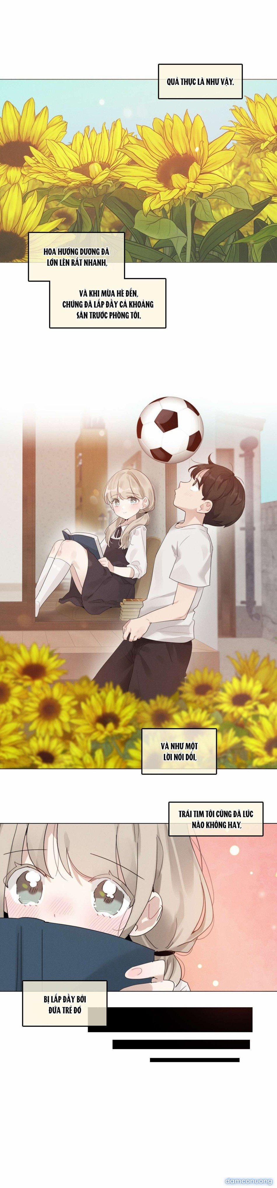 Vào Mùa Hoa Hướng Dương Khẽ Thì Thầm 6.5 trang 3