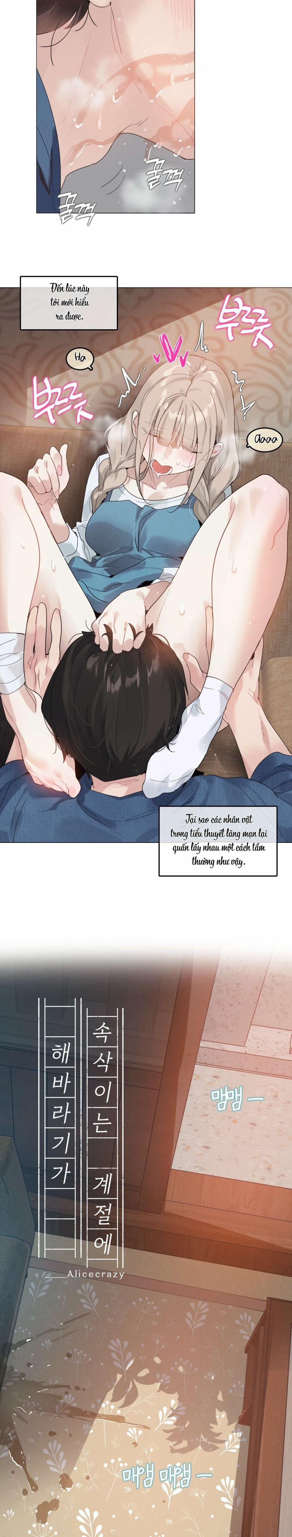 Vào Mùa Hoa Hướng Dương Khẽ Thì Thầm 8 trang 4