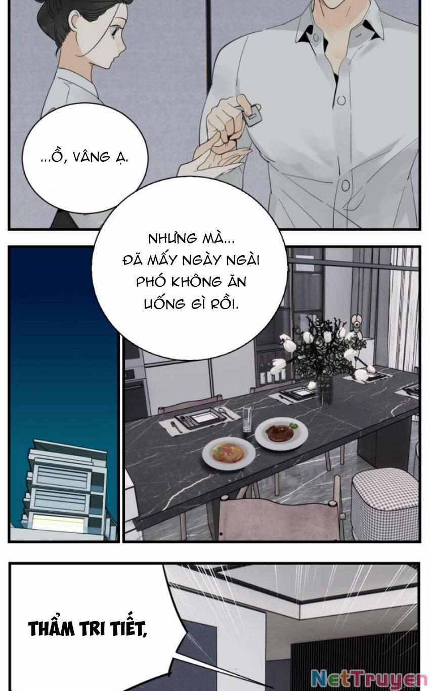 Vật Trong Tay 75 trang 19