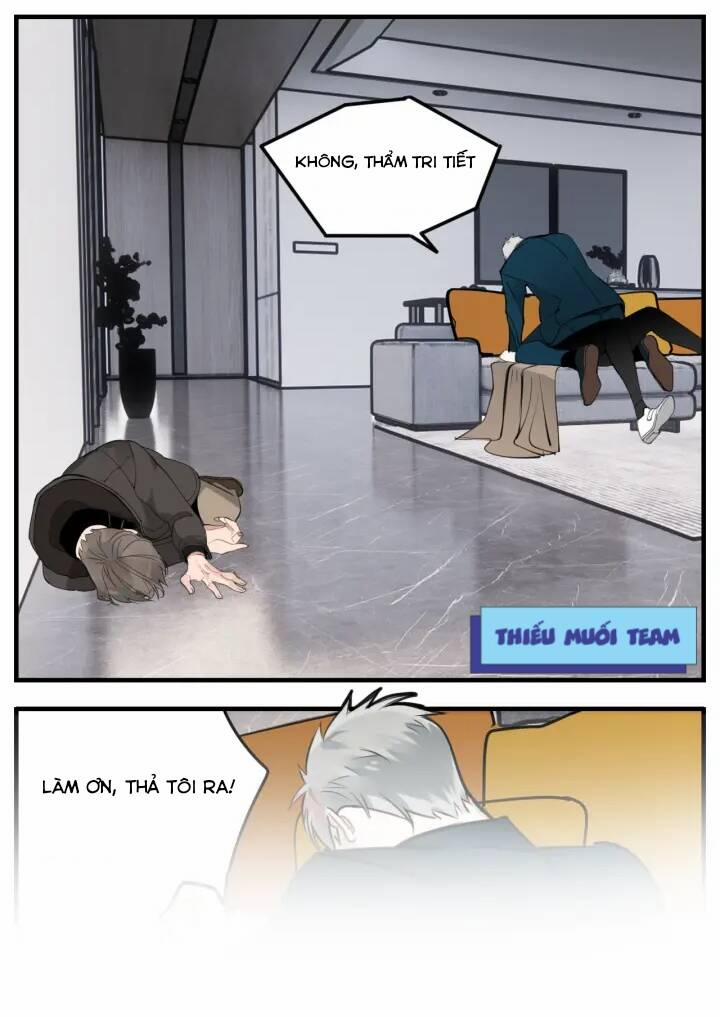 Vật Trong Tay 81 trang 2