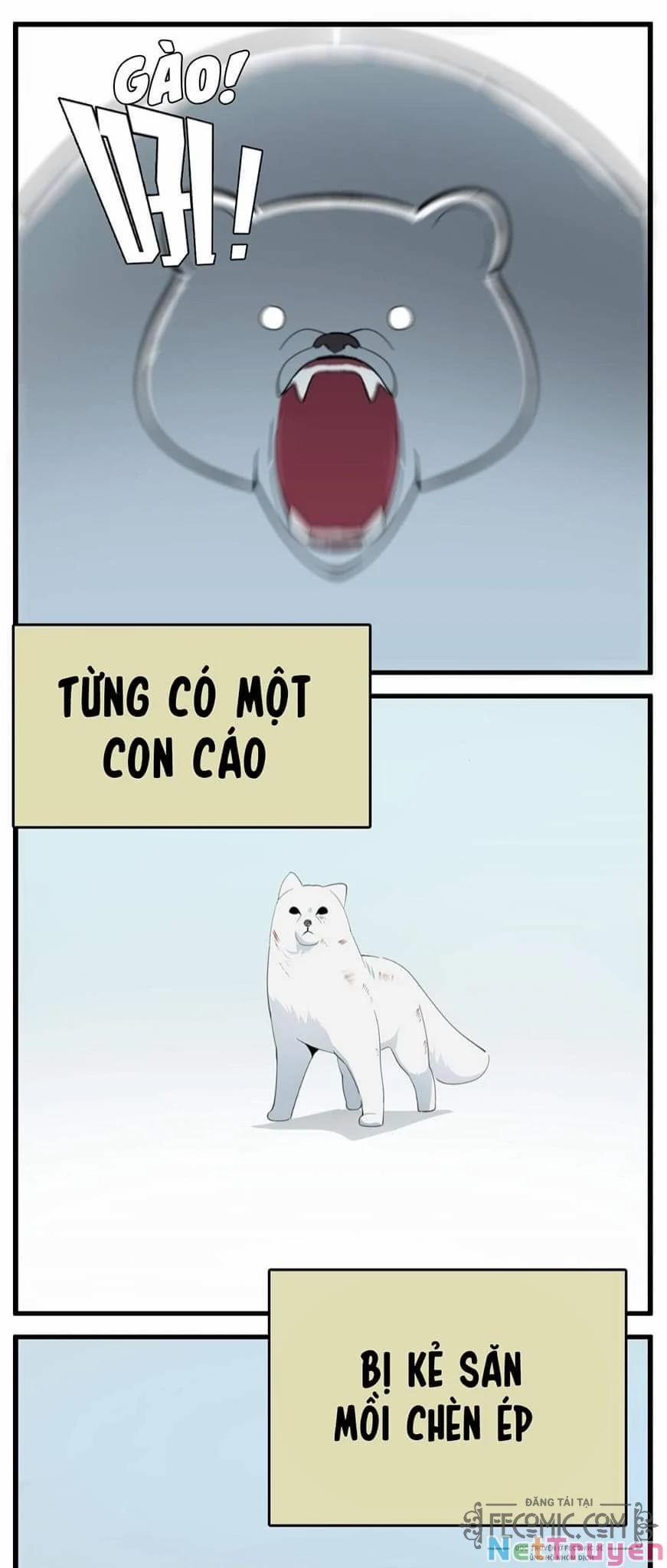 Vật Trong Tay 95 trang 1