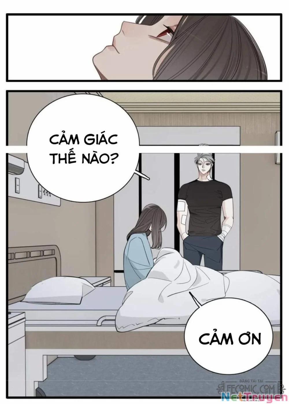 Vật Trong Tay 95 trang 6