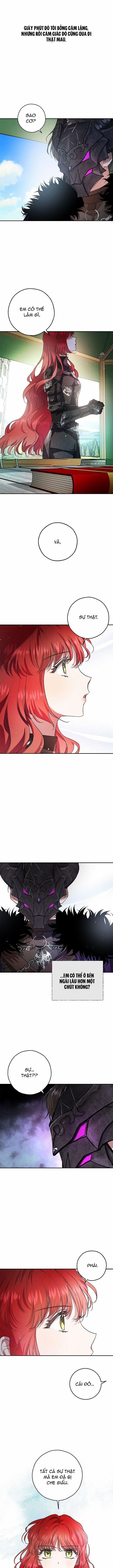 Vẻ Đẹp Bí Ẩn Của Chồng Tôi 24 trang 11