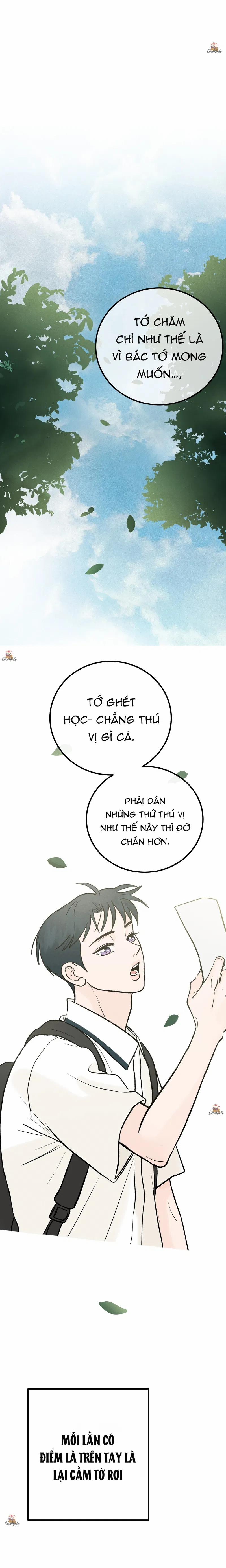 Vết Đỏ 15 trang 14