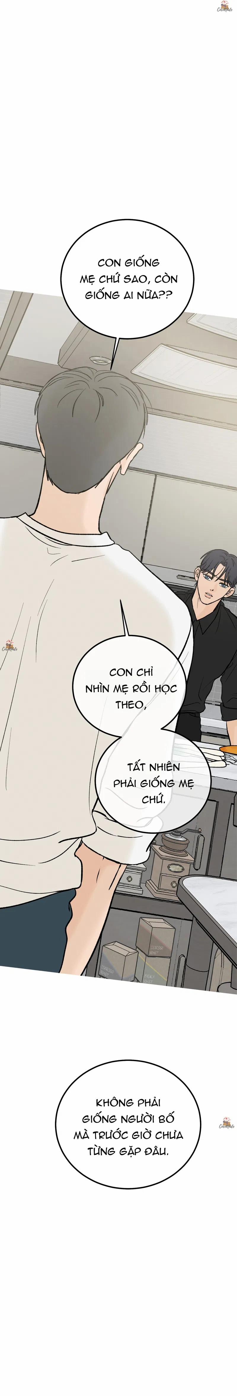 Vết Đỏ 15 trang 24
