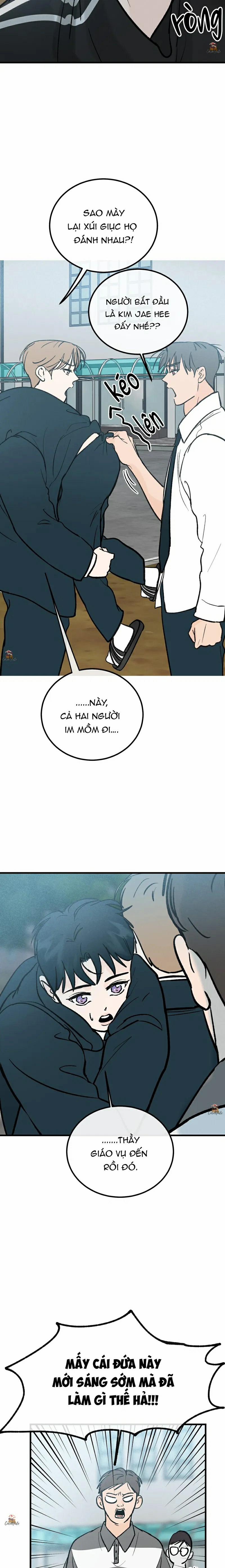 Vết Đỏ 19 trang 10