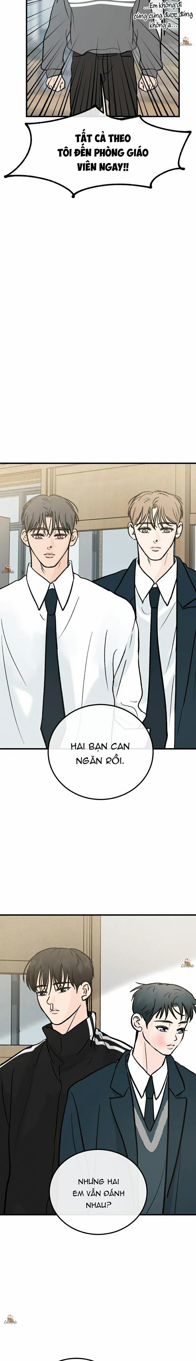 Vết Đỏ 19 trang 11