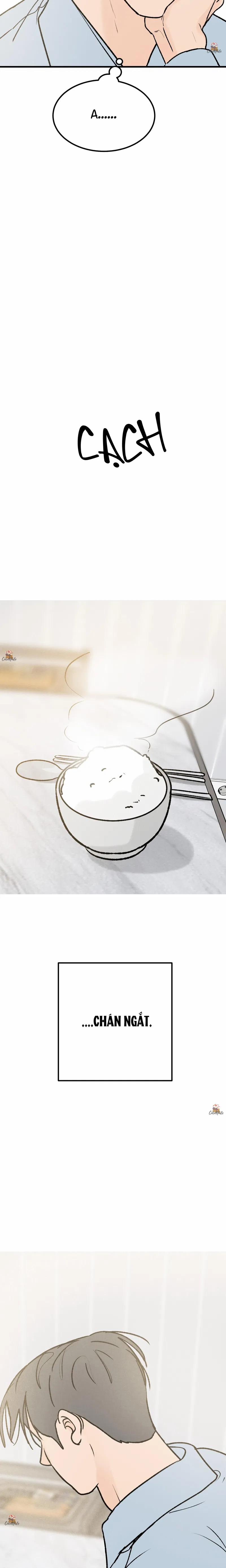 Vết Đỏ 25 trang 10
