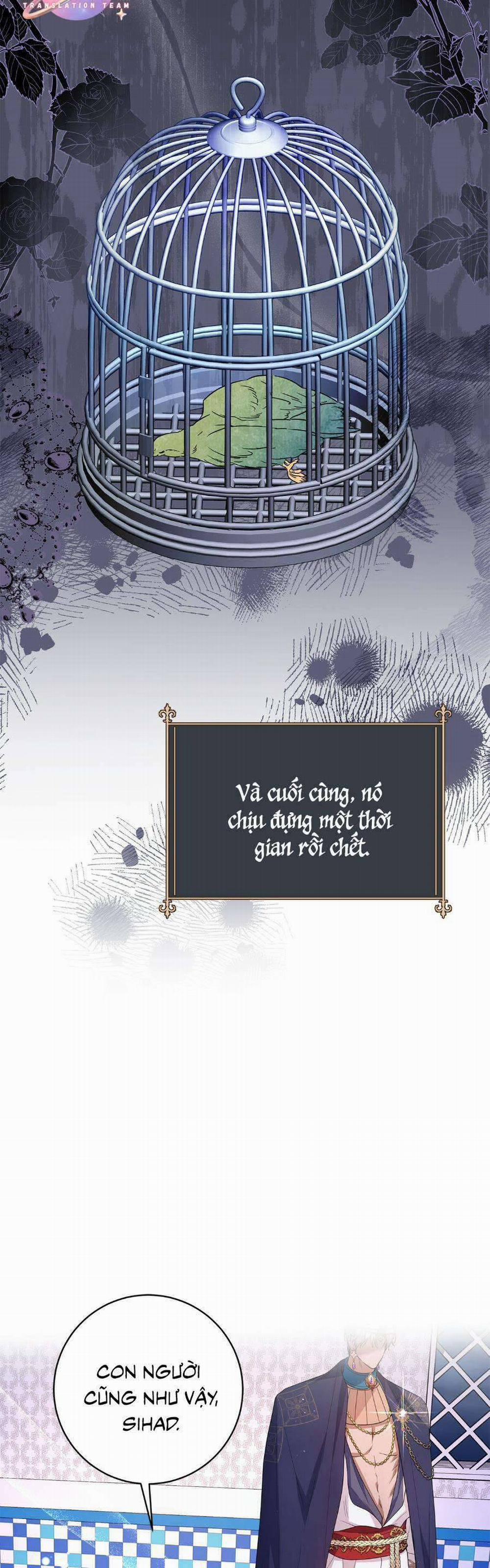 Vết Trăng 28 trang 12