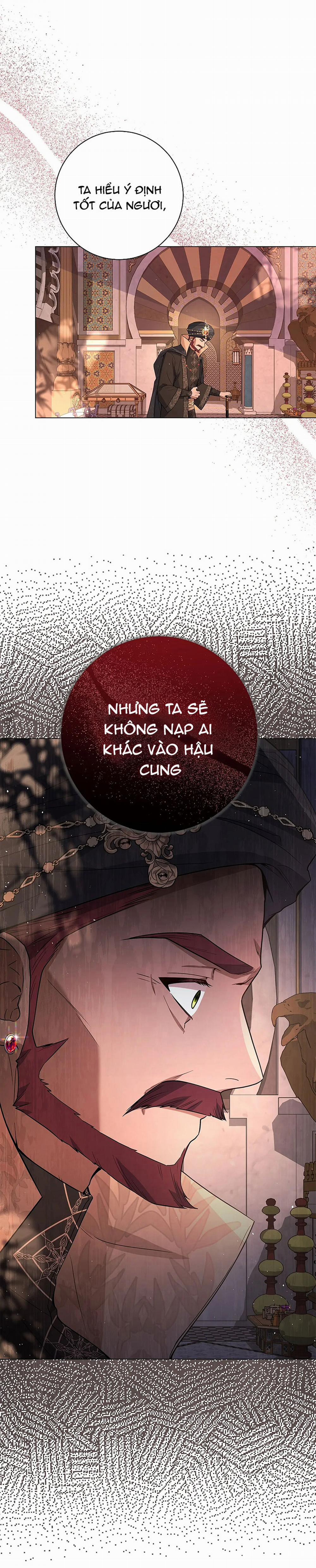 Vết Trăng 8.2 trang 17