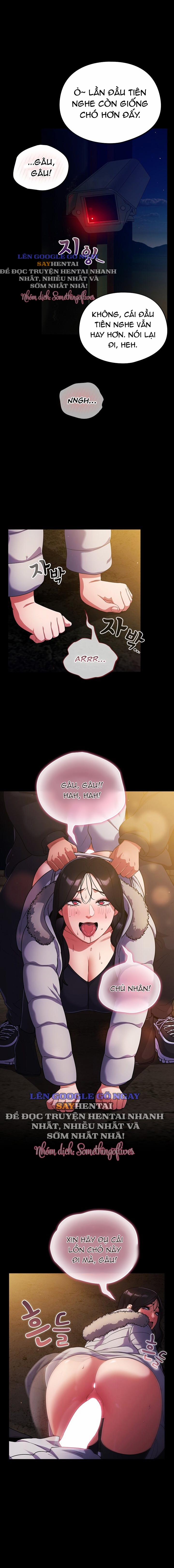 Vi Rút Ngu Ngốc 12 trang 5