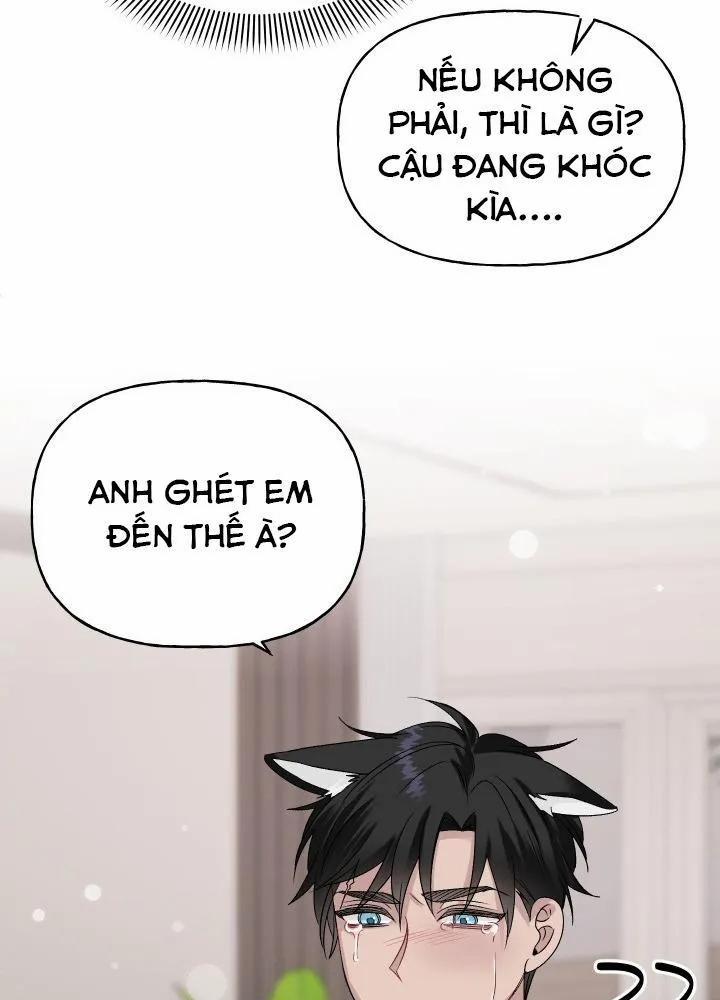 Vụ Đính Hôn Này Là Một Trò Lừa Đảo! 5 trang 84