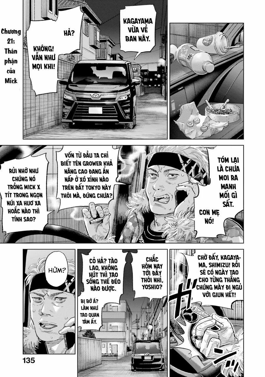 Vua Cần Sa 21 trang 1