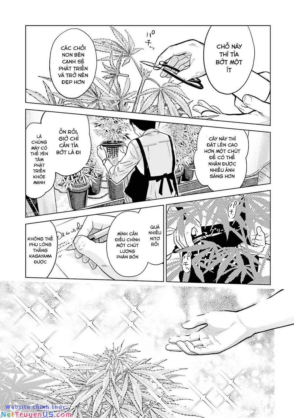 Vua Cần Sa 3 trang 17