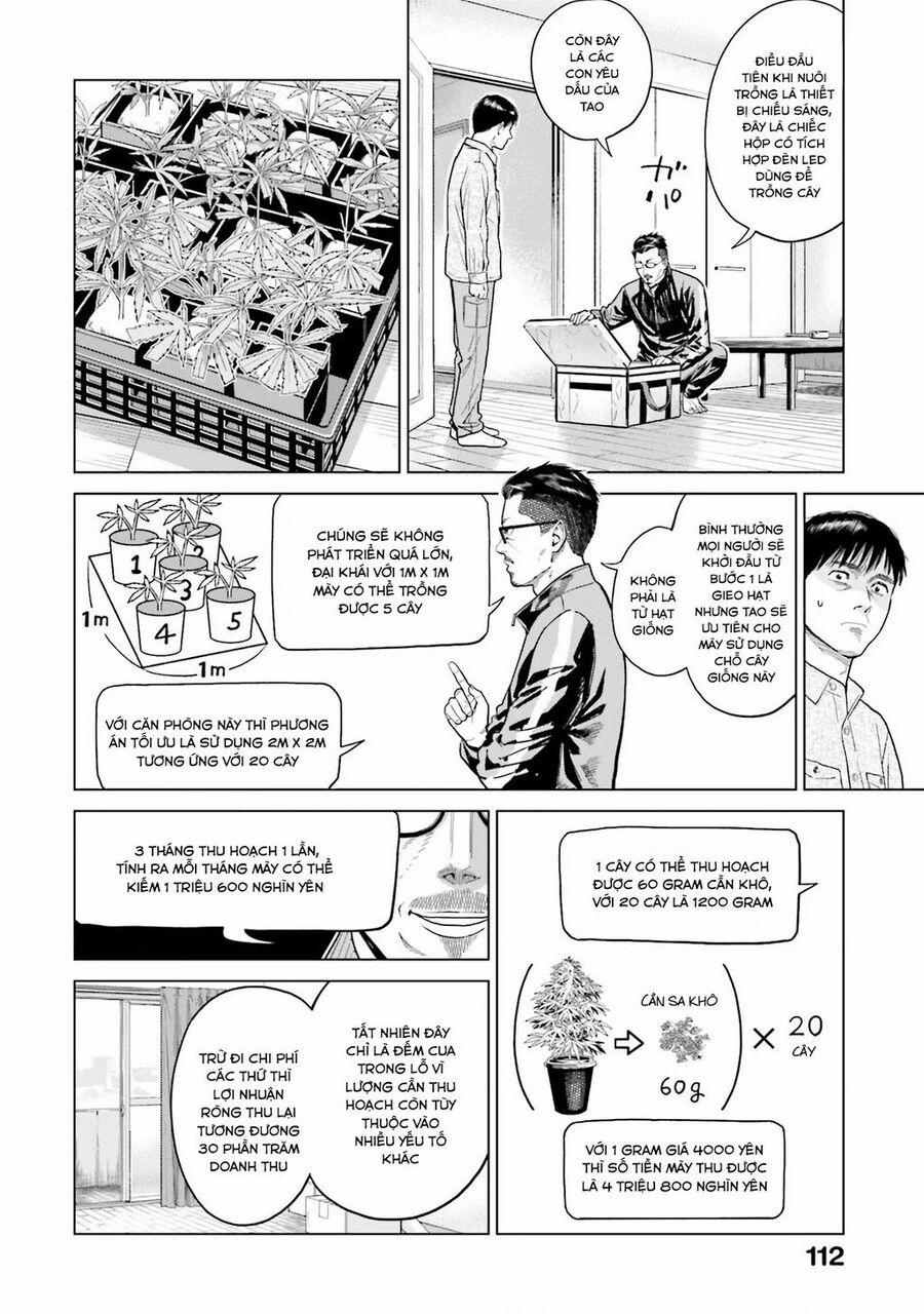 Vua Cần Sa 5 trang 14