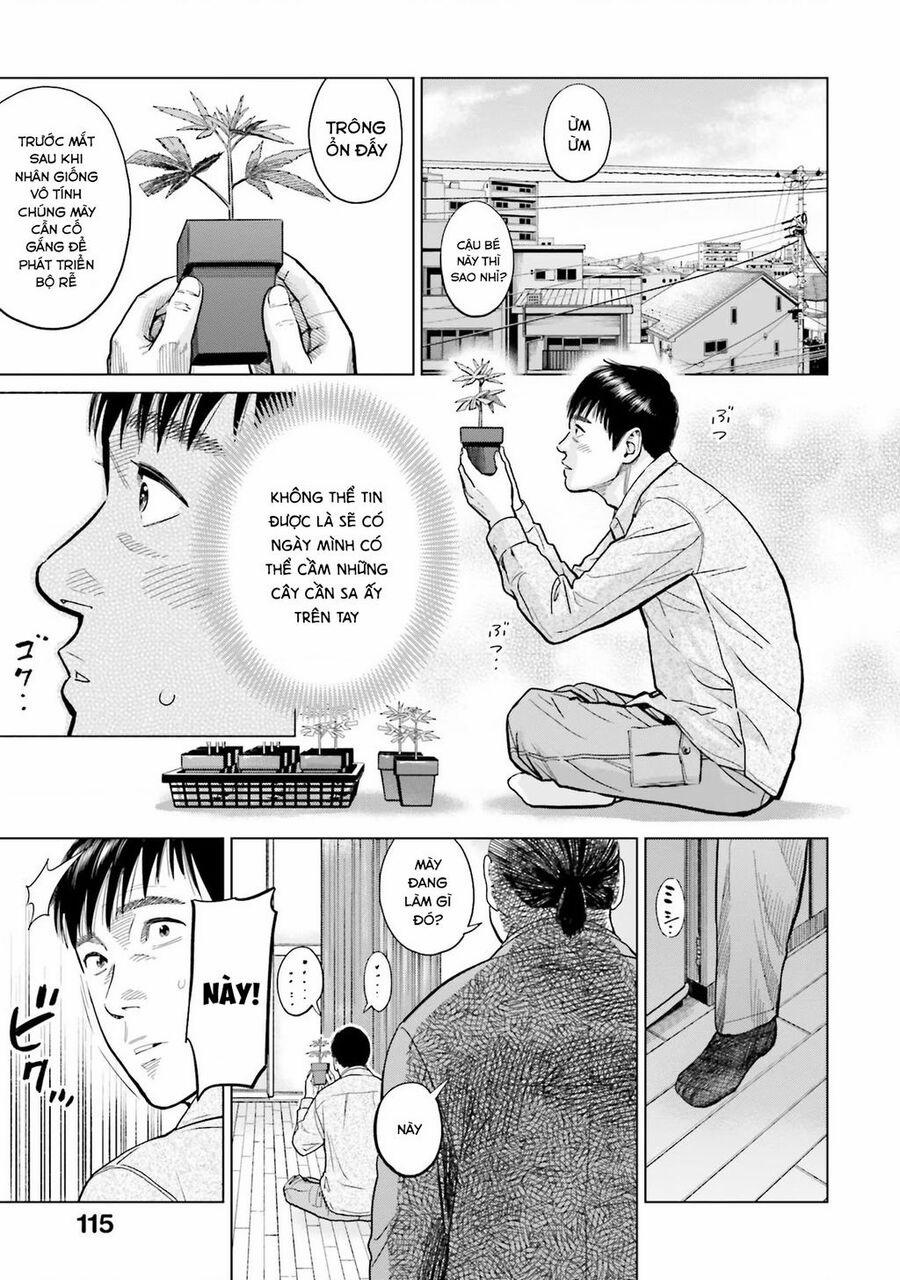 Vua Cần Sa 5 trang 17