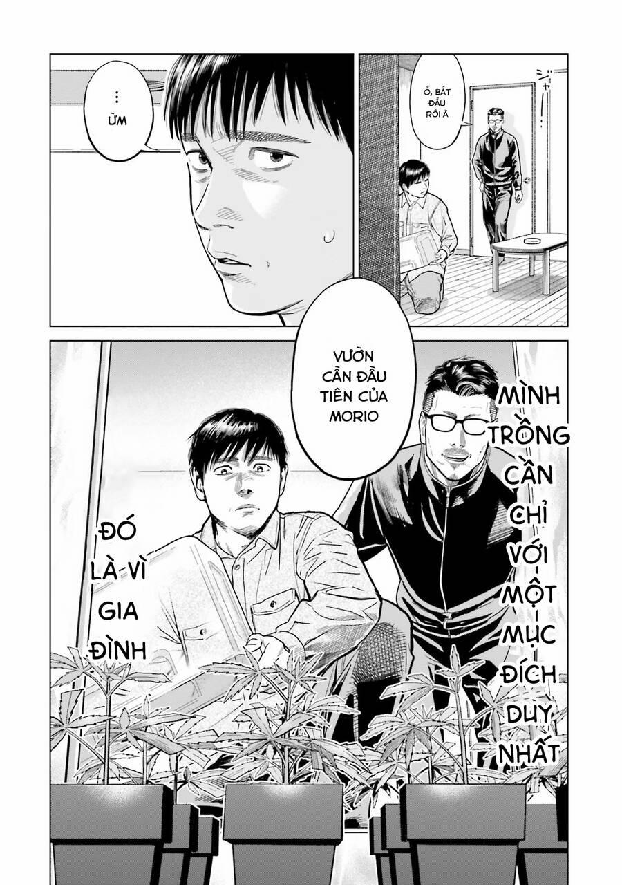 Vua Cần Sa 6 trang 14