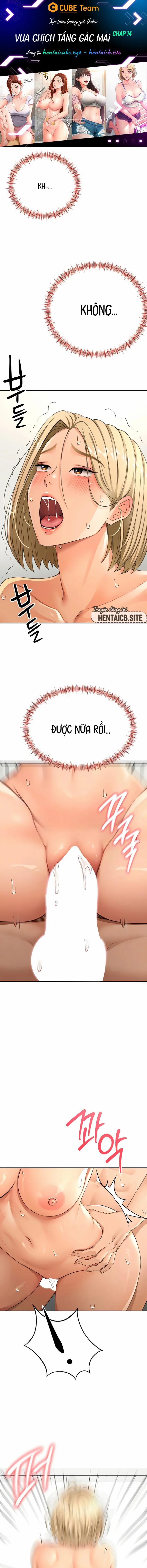 Vua chịch tầng gác mái 14 trang 1