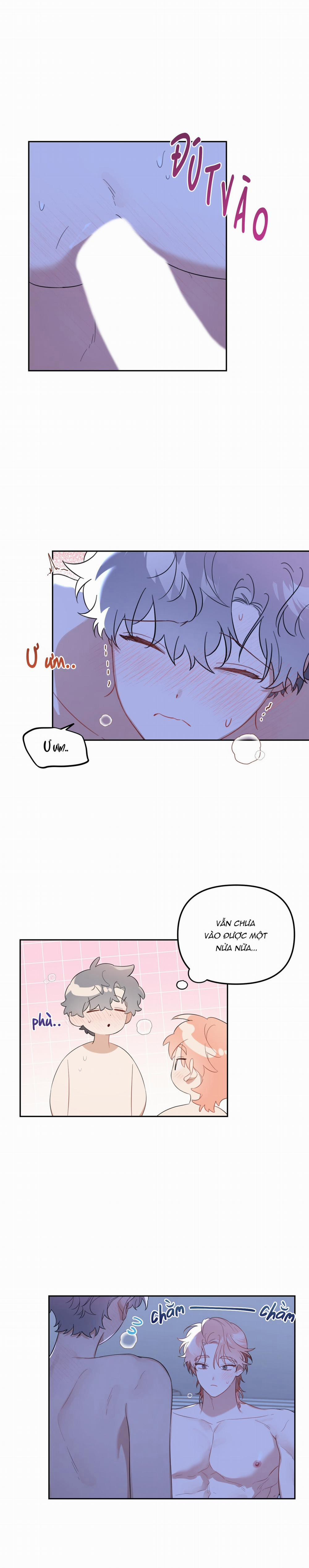 Vườn Nhà Có Hoa 47 trang 15