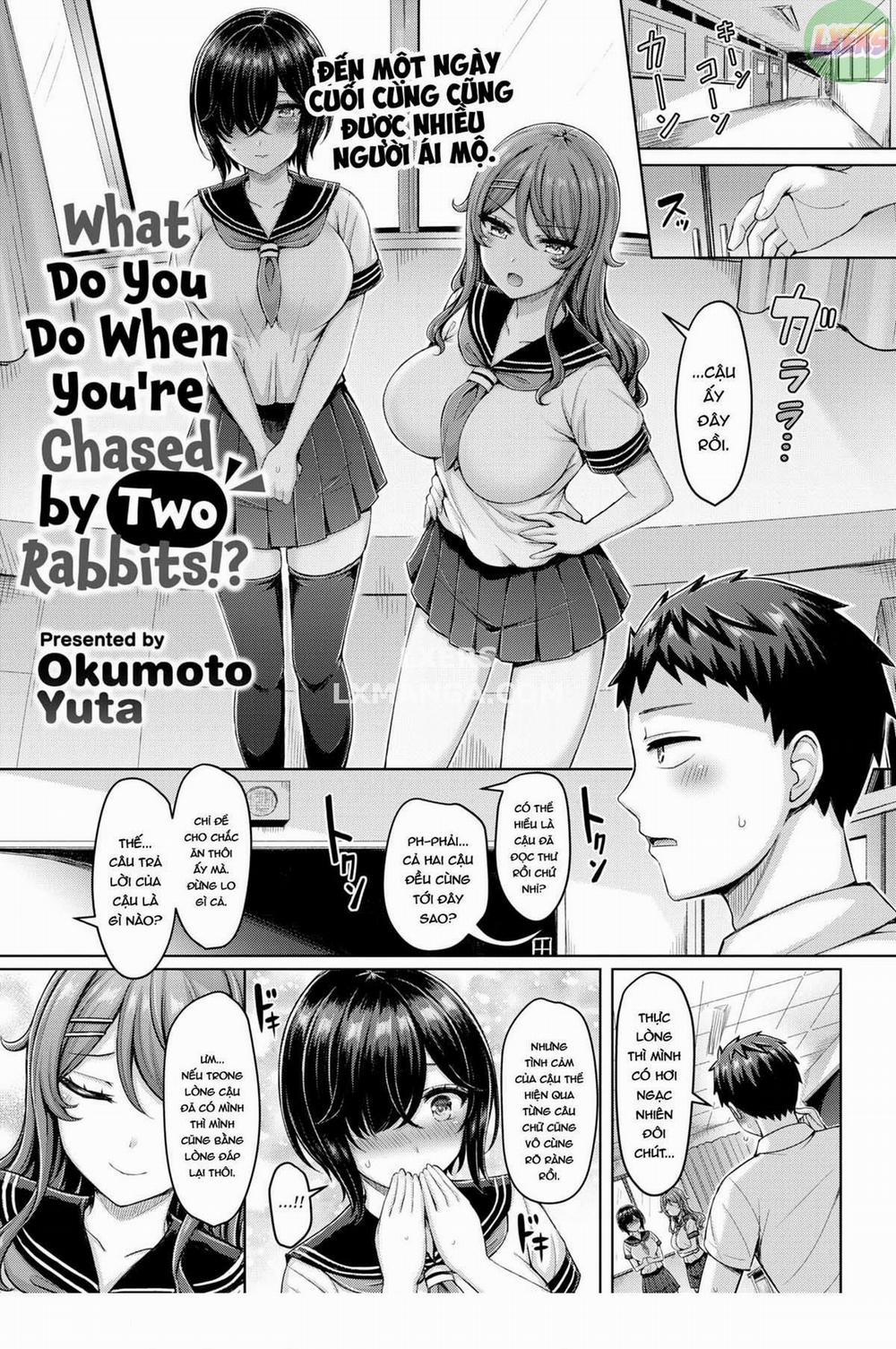 What Do You Do When You're Chased by Two Rabbit Oneshot trang 3