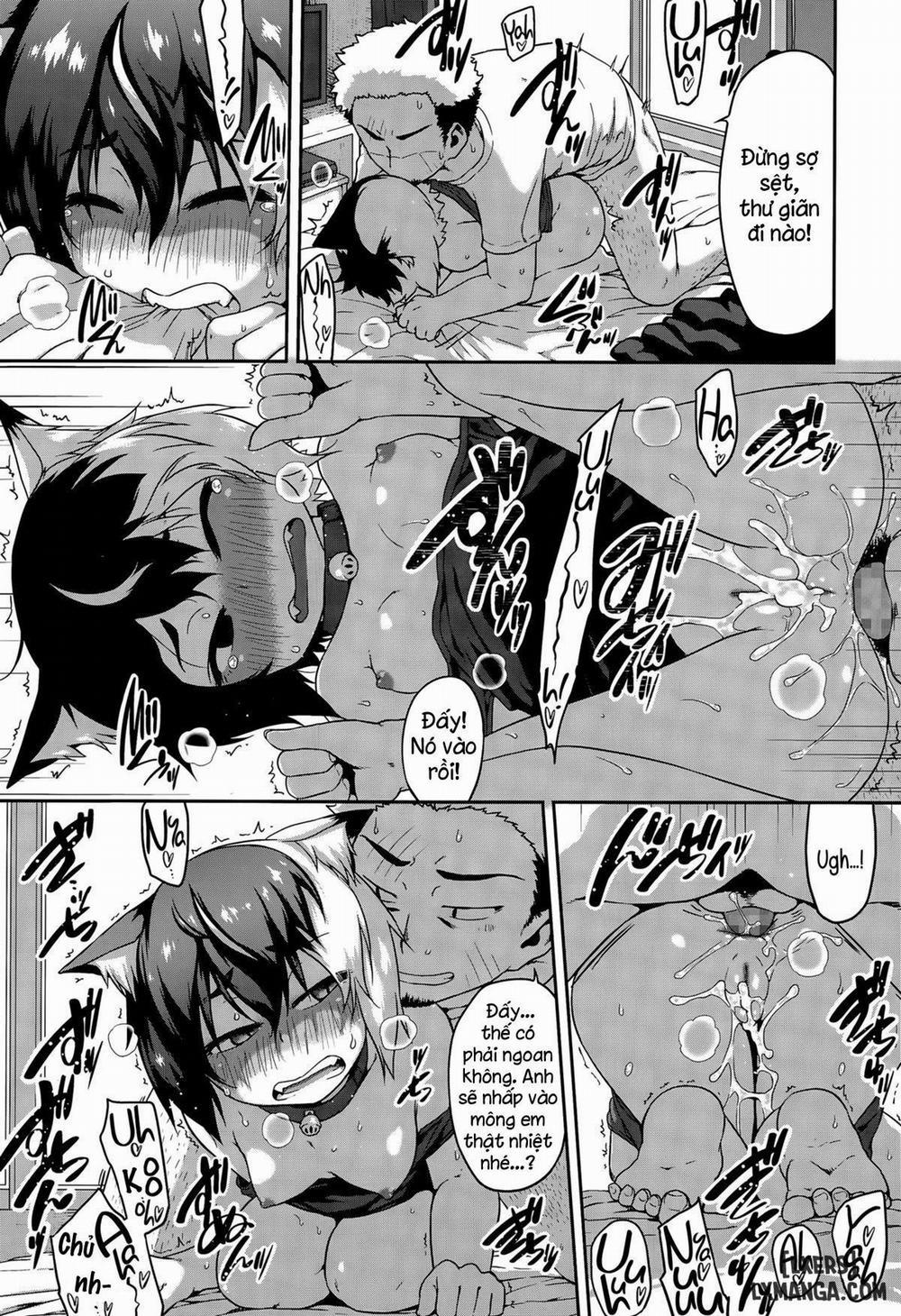 What's Tsun Pussycat Oneshot trang 16