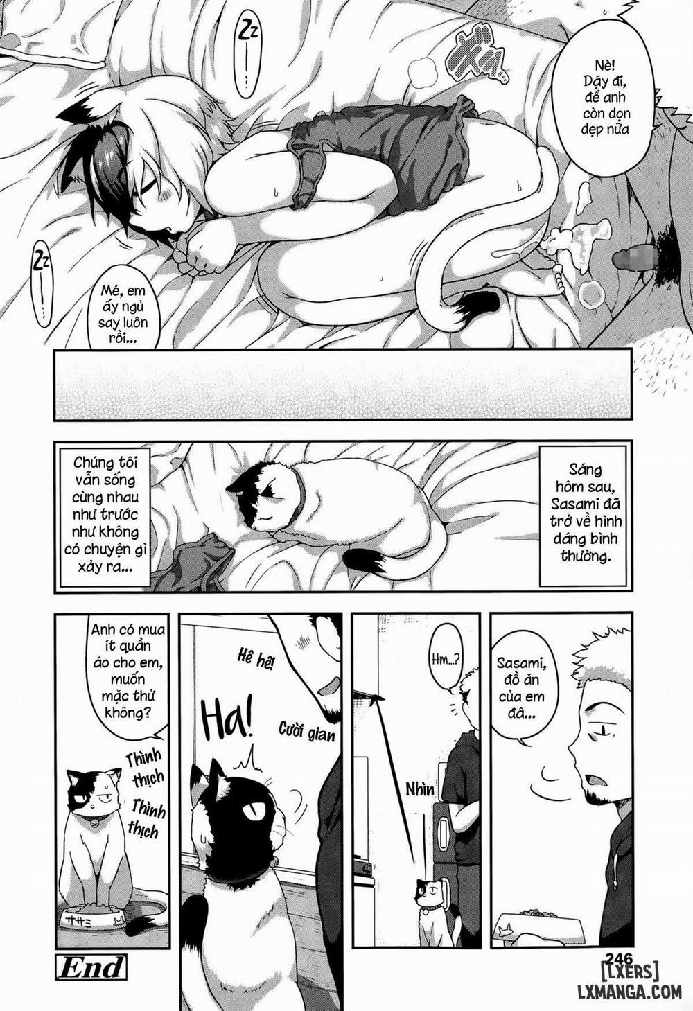 What's Tsun Pussycat Oneshot trang 19