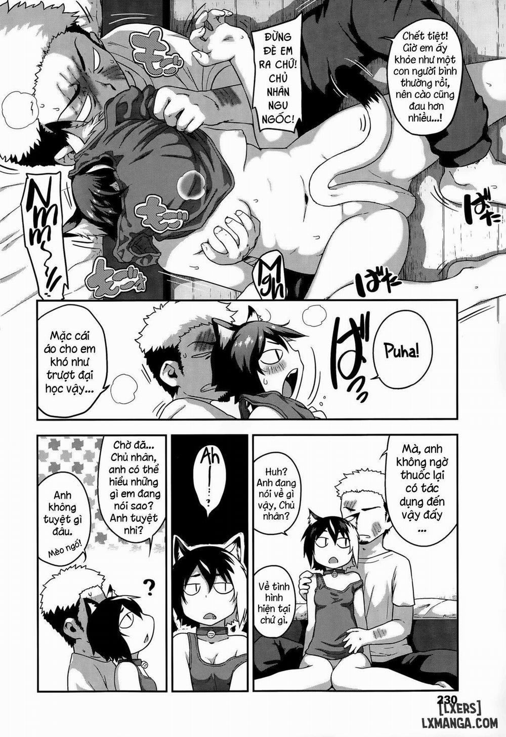 What's Tsun Pussycat Oneshot trang 3