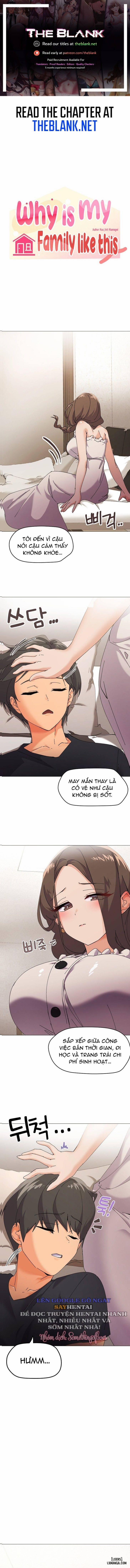 What’s Wrong With This Family? 4 trang 0