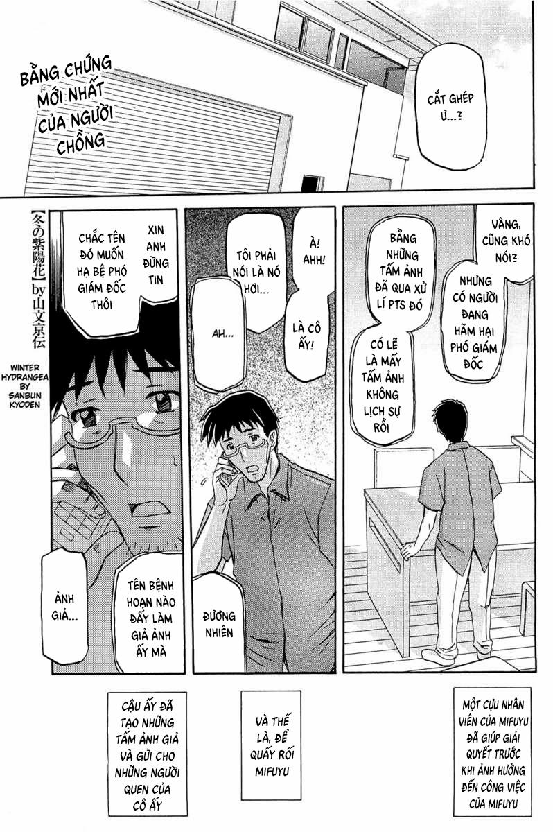 Winter Hydrangea 6 trang 1