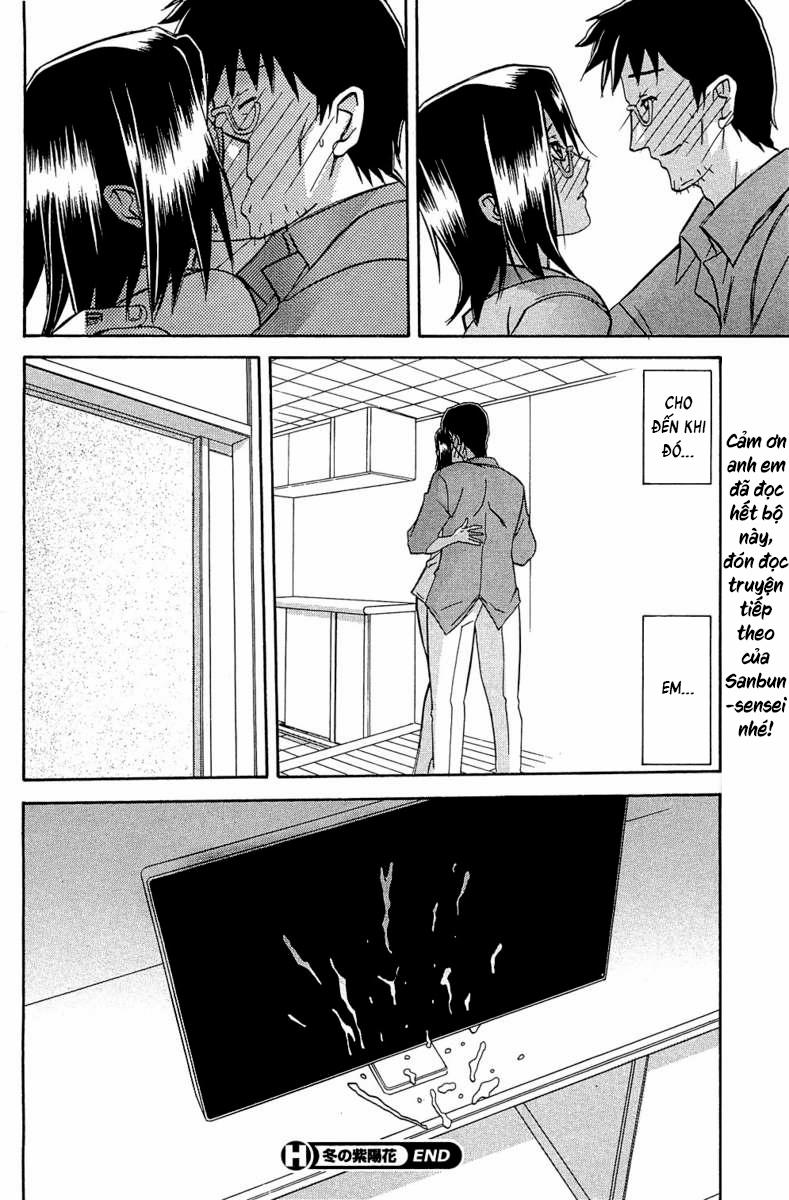 Winter Hydrangea 6 trang 26