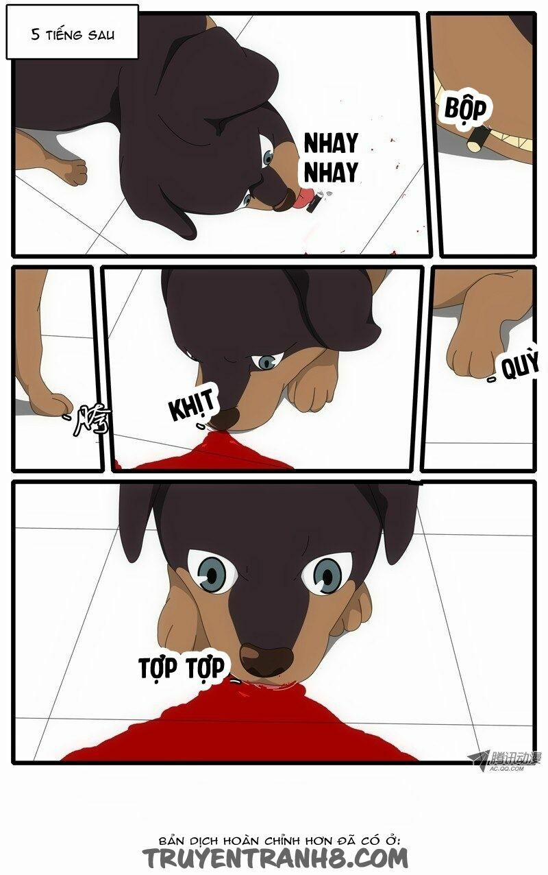 World Game 12 trang 8