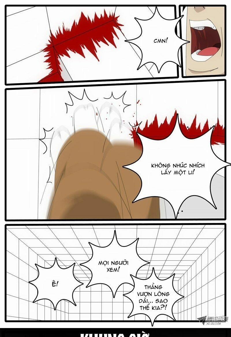 World Game 7 trang 8